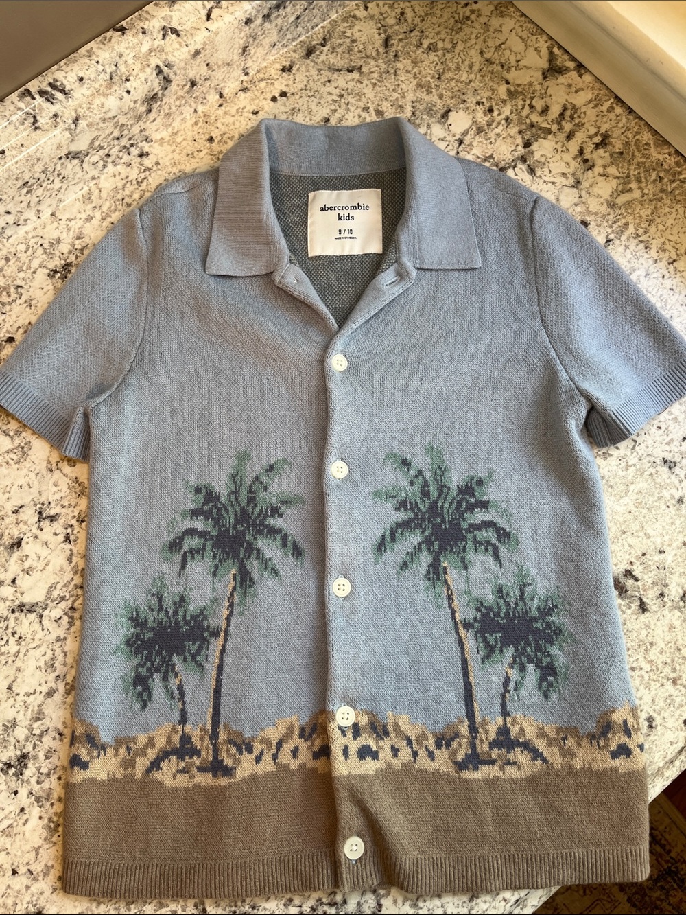 Abercrombie Boys Light Blue Knit Palm Tree Button-Front Sweater